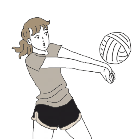 Volleyball (Volley Ball)