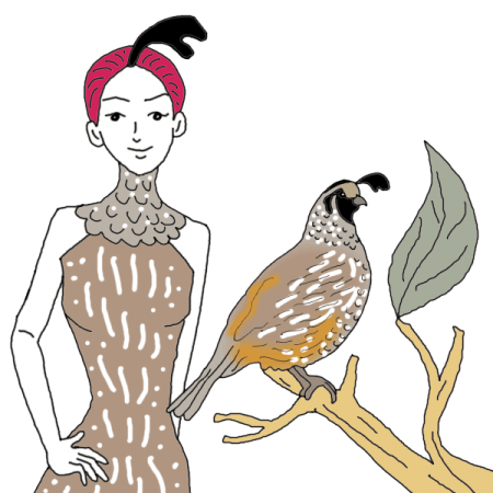 quail animal totem