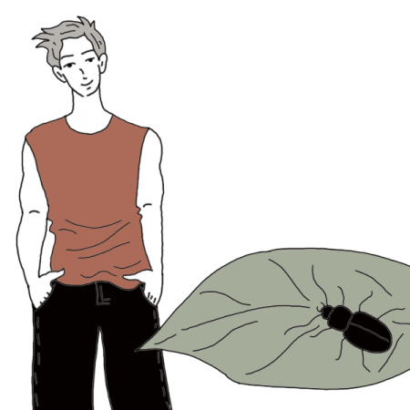 Signification du rêve Beetle