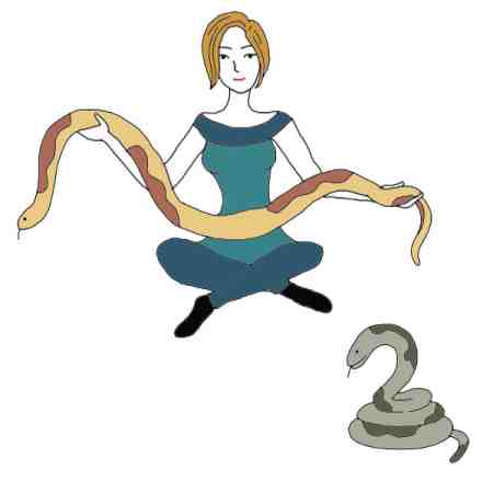 Serpent Python