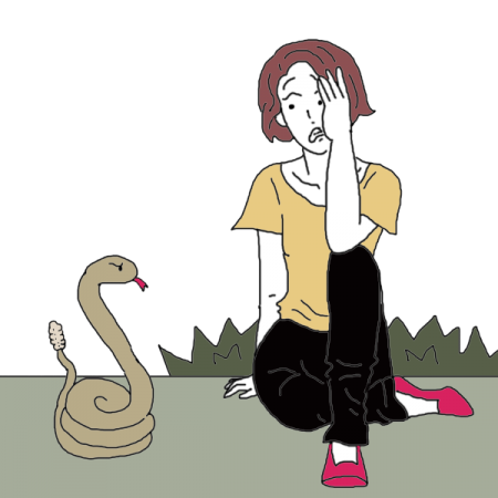 Rêver d'attaques de serpents